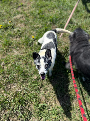 674404669_35243077005305797_8209315044760498083_n