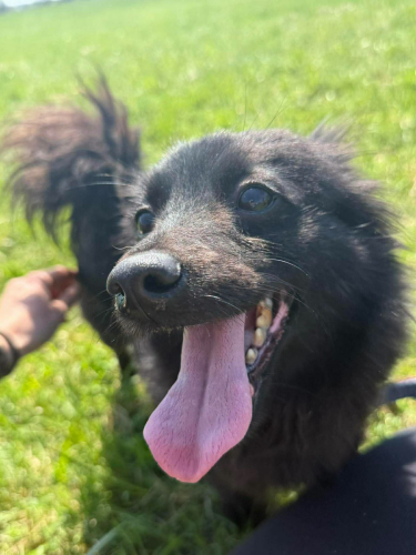 674856862_1528754185270774_9124468564296787289_n