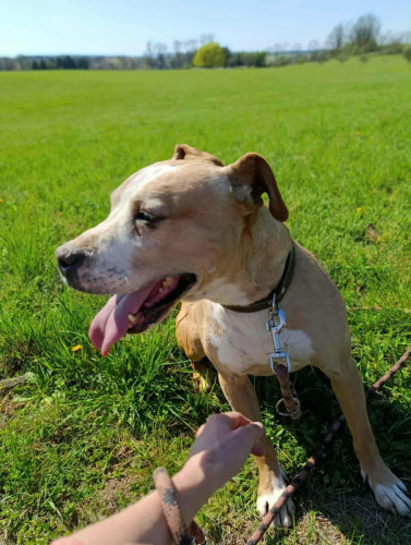 675190083_26315956854697438_1559271484541343909_n