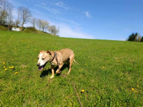 675409574_3276056839240142_4322638117101769857_n