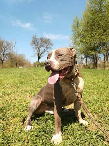 675778089_1510687347326778_4271161419890866048_n