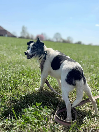 675954138_973892725084986_2350861942923752545_n