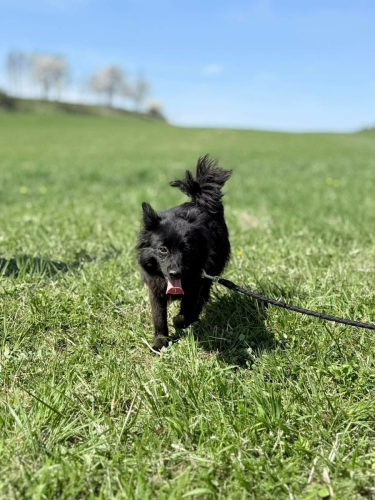 676226696_960849669670140_2793910664193583157_n