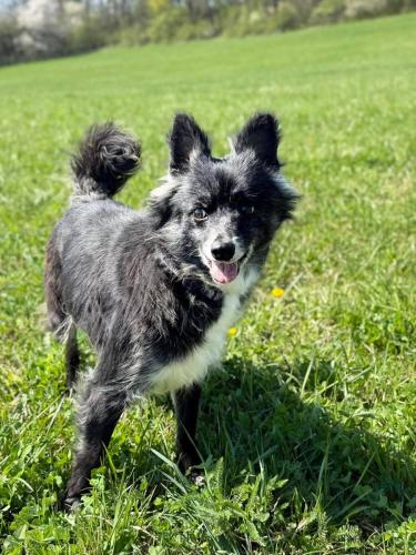 678314346_26875219528778539_1398634235351054997_n