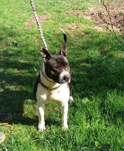 678525652_26875183652115460_5060152510449454439_n