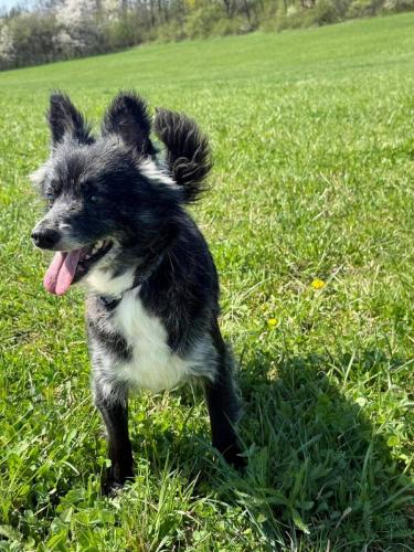 678756353_26875219165445242_5600400776303065273_n