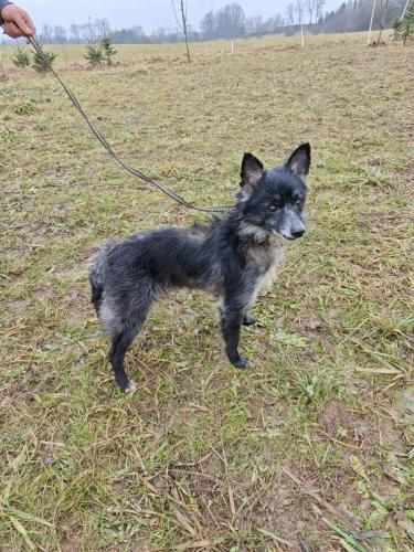 678766938_26875220772111748_3672130945923023781_n