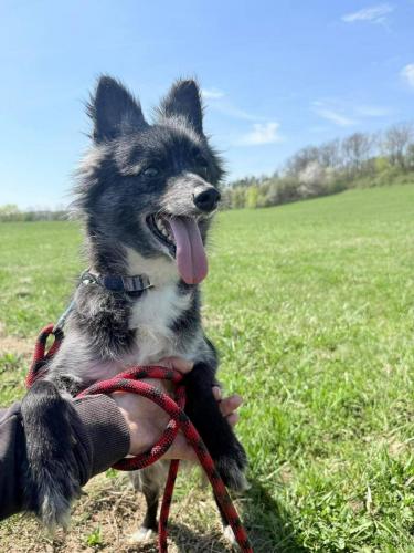 679038067_26875220385445120_860881870856050492_n