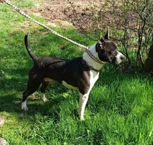 679411656_26875184312115394_605213985822539896_n