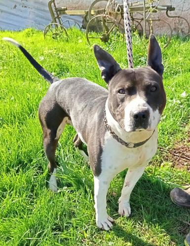 679800724_26875183312115494_5832816062798439849_n