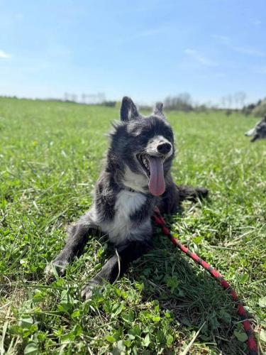 679866120_26875219878778504_7732640063055922206_n