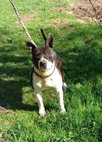 679944537_26875183978782094_675325969154276383_n