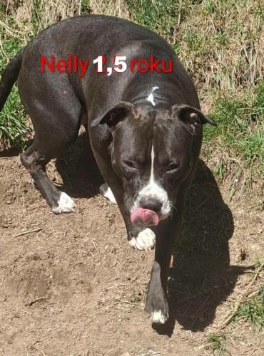 Nelly (nar. 30.12.2024)