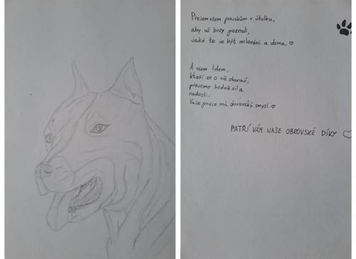 78e957a7-86d2-4dcd-96f1-e0e98ec81a37