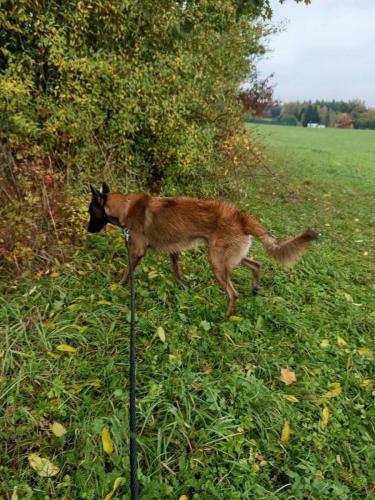 847834388_1887325115982684_7410966447002299247_n