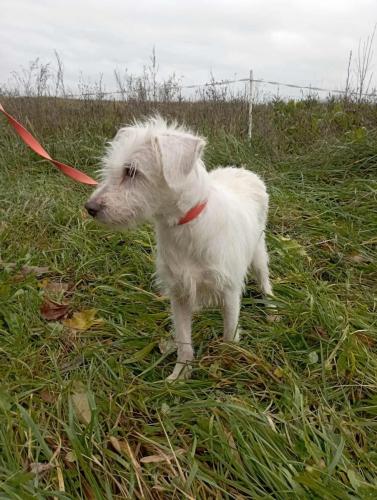 FB_IMG_1761687683418