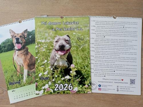 NÁSTĚNNÝ KALENDÁŘ (A3) - 250,-/ks