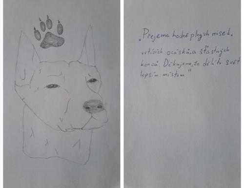 f8e413e5-8b93-4303-86ac-3822b06465bd