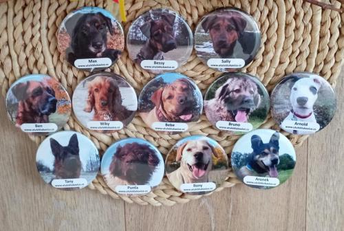 MAGNETKY - cena 30,-/ks